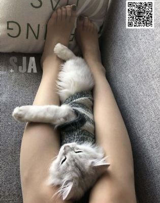 亚洲av综合色区一区二区_国产剧在线视频观看
